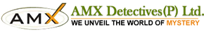 Amx Detectives Pvt Ltd